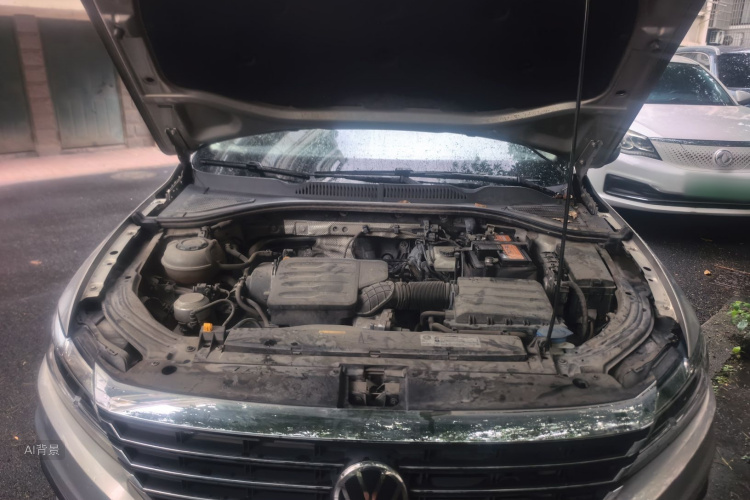 Volkswagen Lavida 2021 car image #22