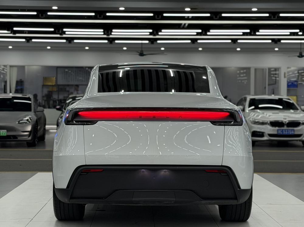 Tesla Model Y 2025 car image #6