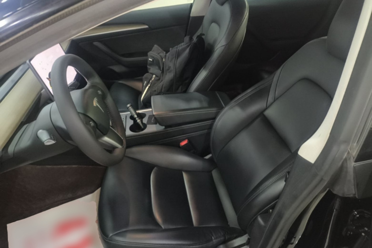 Tesla Model 3 2021 immagine di auto #19