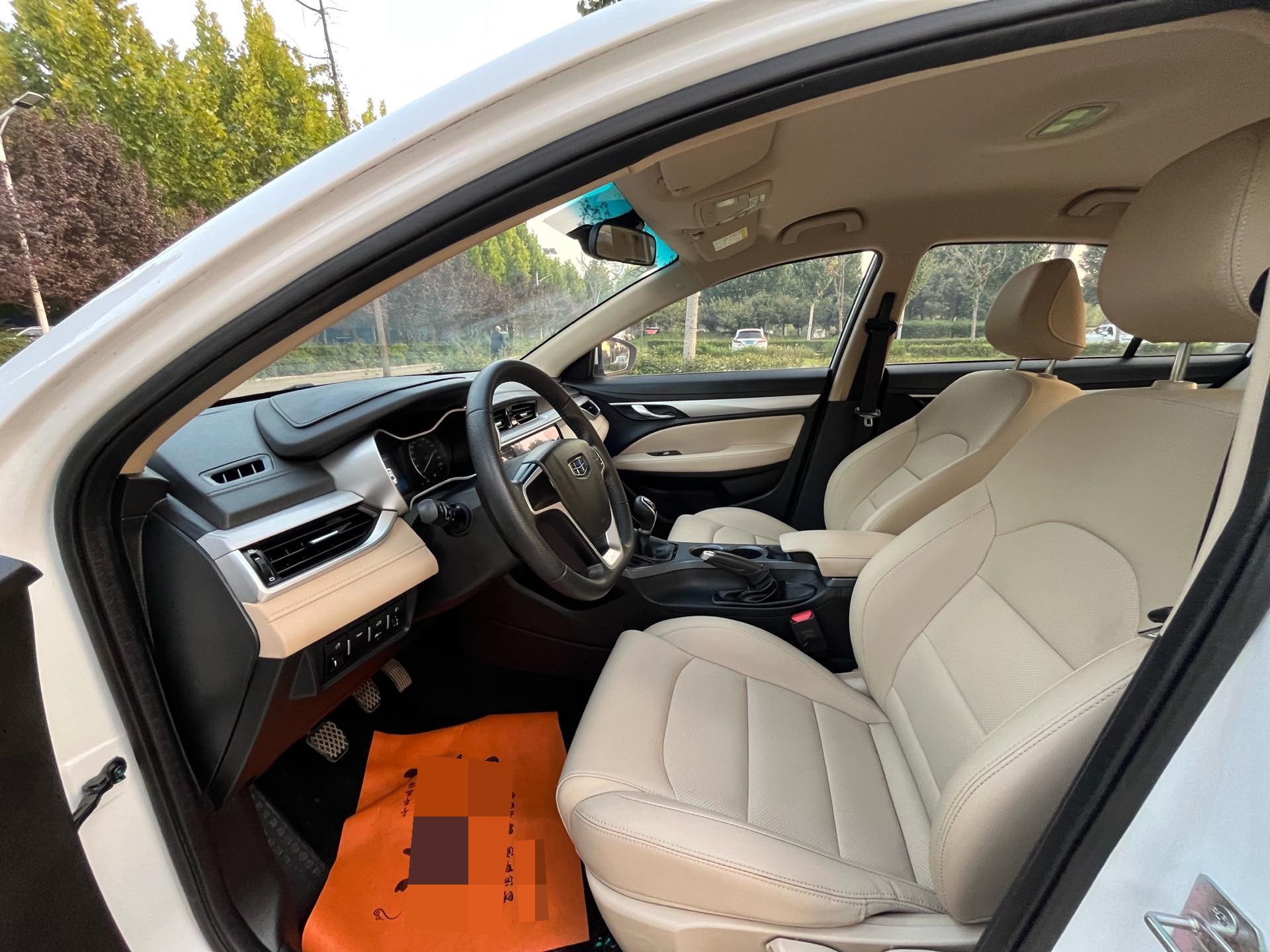 GEELY Emgrand 2019 imagen de coche #4
