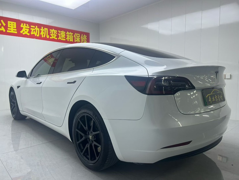 Tesla Model 3 2020 car image #6