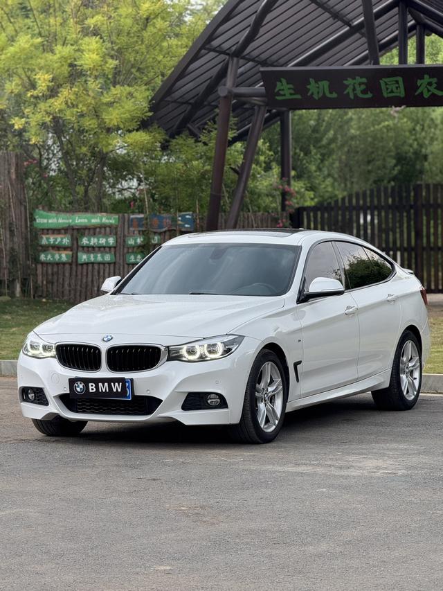 BMW 3 Series GT 2020 #14 BMW 3 Series GT 2020 car image #14