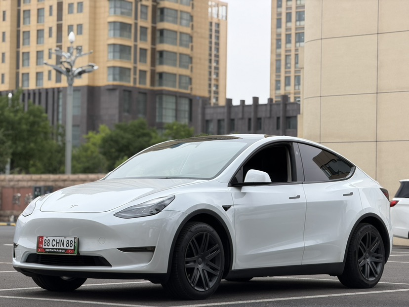 Tesla Model Y 2024 Tesla Model Y 2024 car image