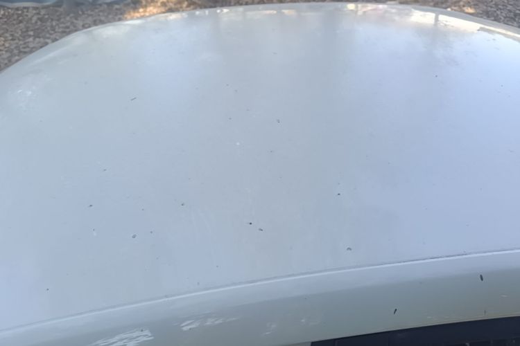 Volkswagen Bora 2019 car image #25