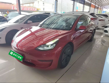 Tesla Model 3 2021 Tesla Model 3 2021 car image