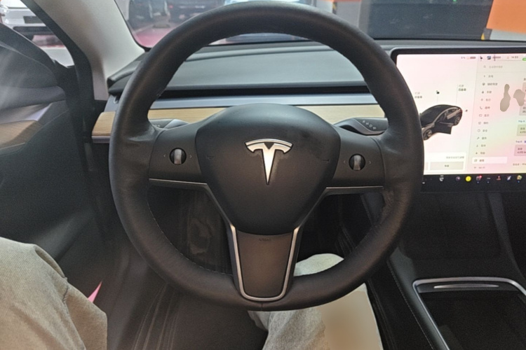 Tesla Model 3 2021 car image #11