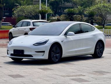 Tesla Model 3 2020 Tesla Model 3 2020 car image