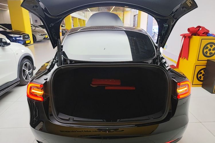 Tesla Model 3 2022 изображение автомобиля #19