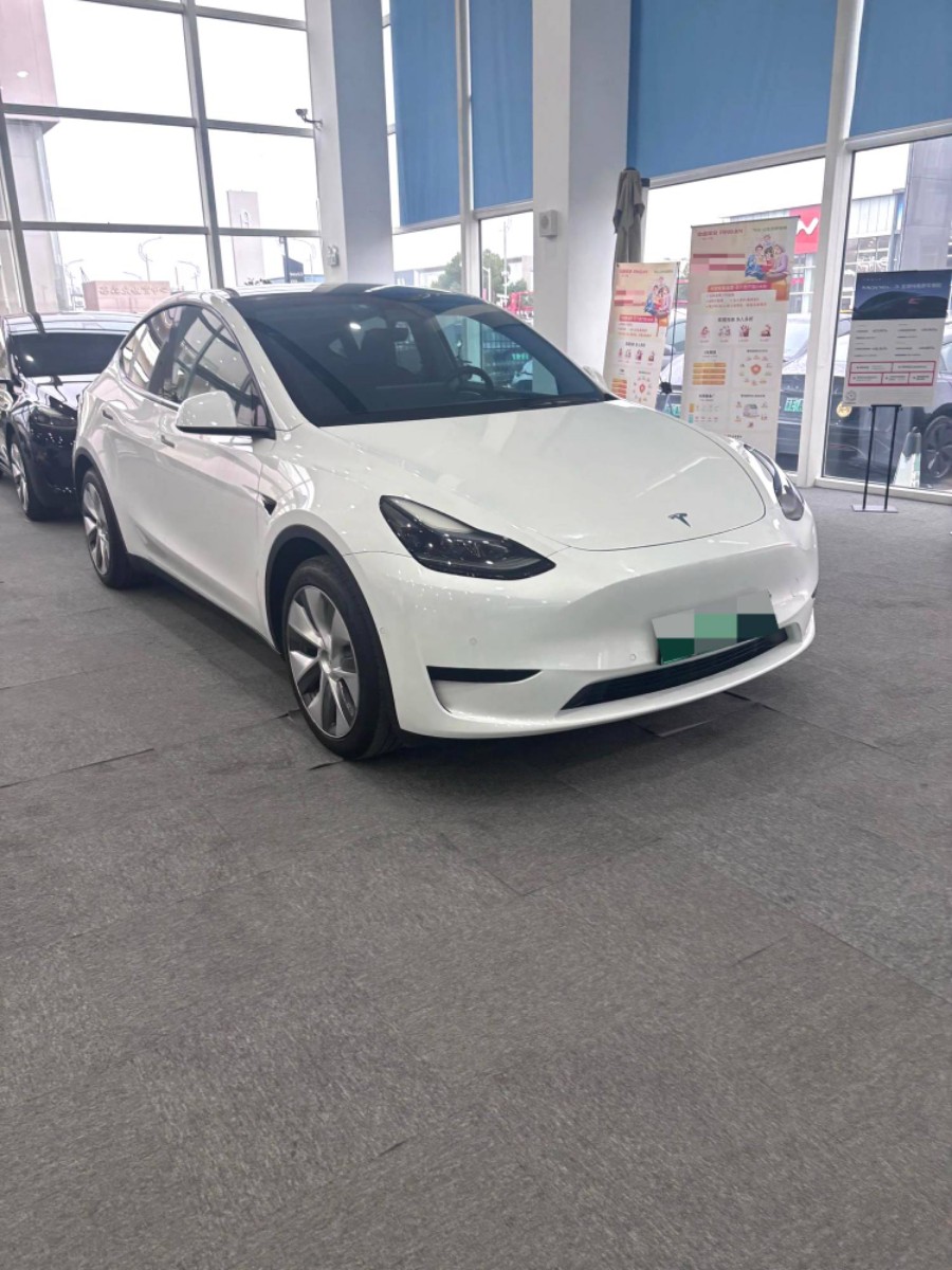 Tesla Model Y 2022 car image 
