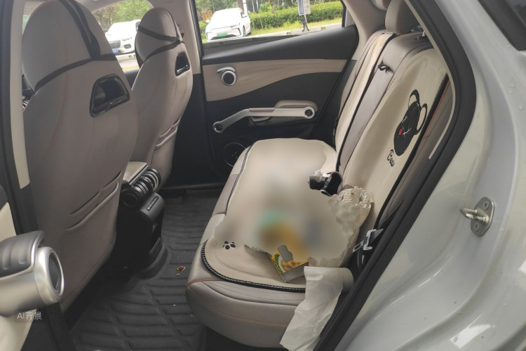 BYD Yuan Plus 2023 car image #19