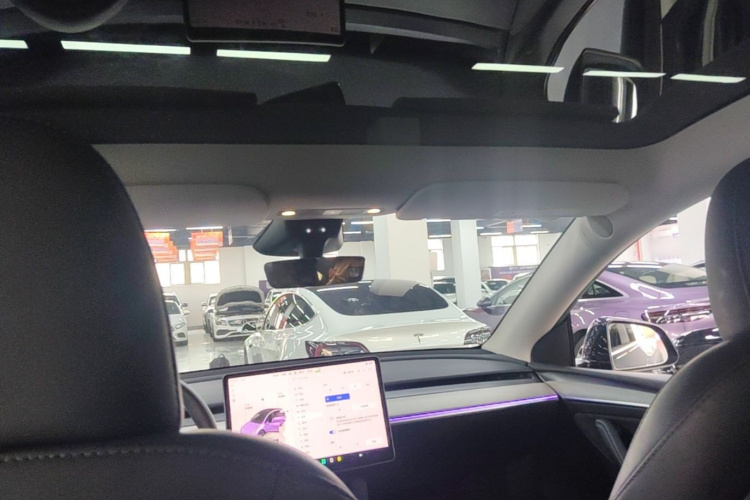 Tesla Model Y 2024 car image #18