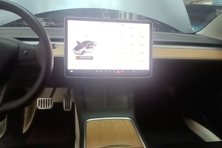 Tesla Model 3 2023 immagine di auto #13