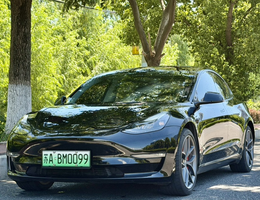 Tesla Model 3 2022 Tesla Model 3 2022 car image
