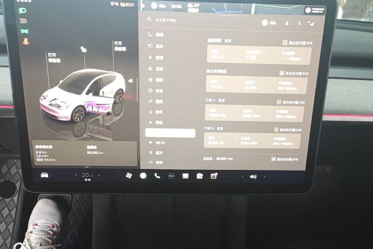 Tesla Model Y 2024 car image #13