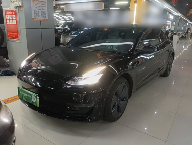 Tesla Model 3 2020 Tesla Model 3 2020 car image