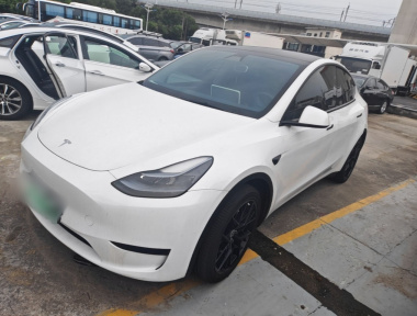 Tesla Model Y 2024 car image 