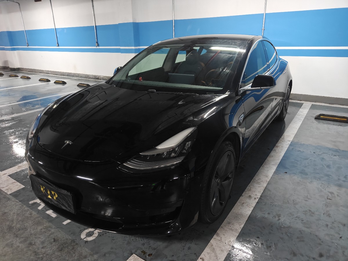 Tesla Model 3 2020 Tesla Model 3 2020 car image