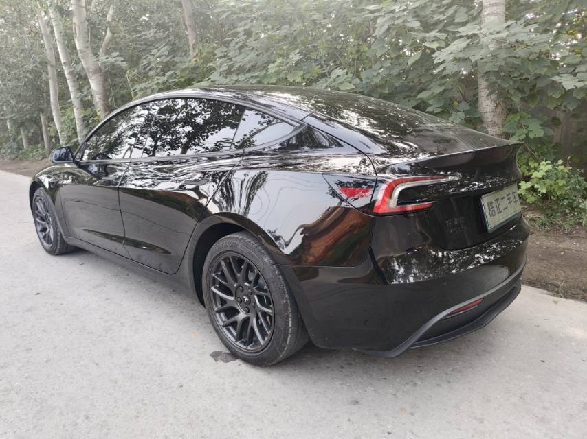 Tesla Model 3 2026 #6 Tesla Model 3 2026 car image #6