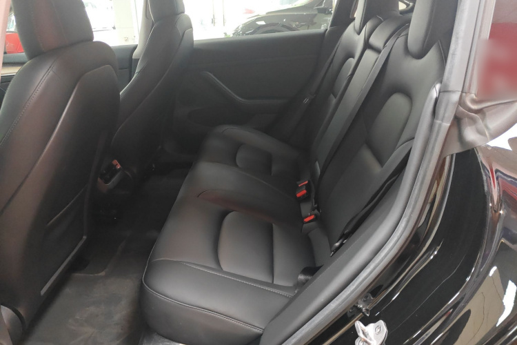 Tesla Model 3 2022 car image #13