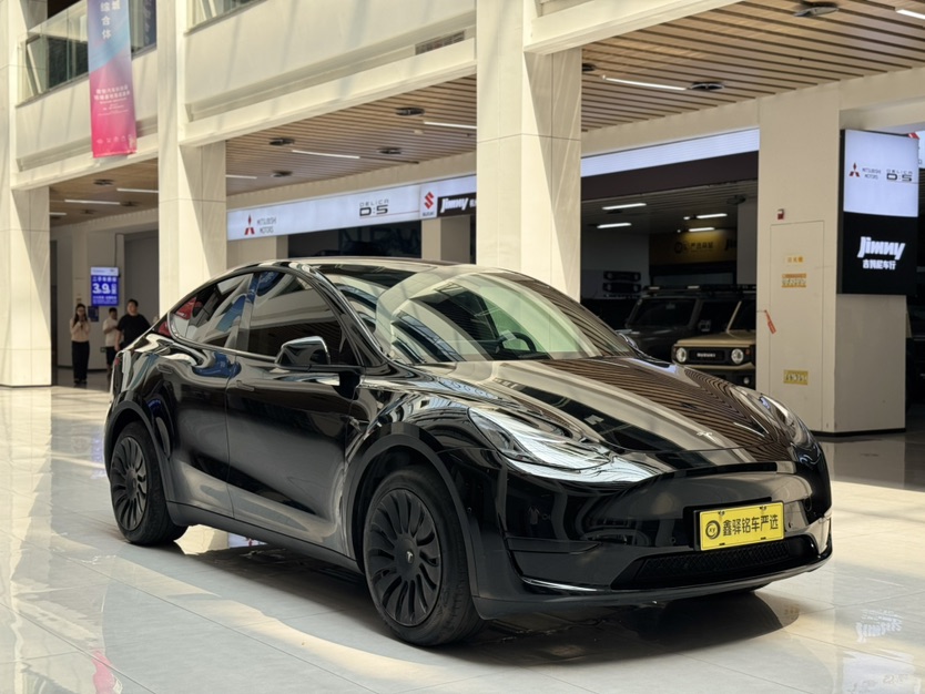 Tesla Model Y 2023 car image #3