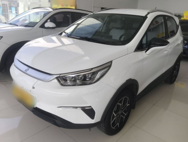 BYD Yuan Pro 2021 car image 