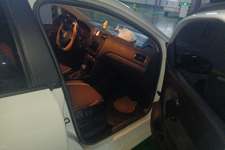 Volkswagen Polo 2019 car image #27