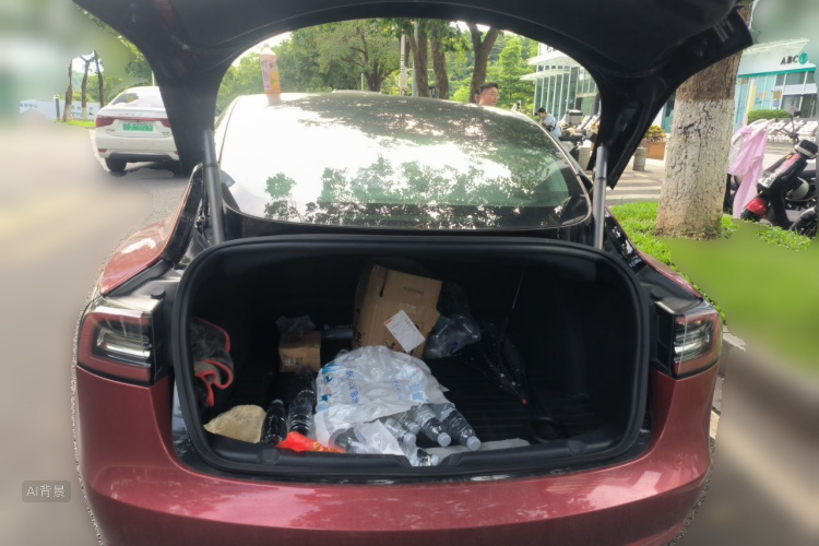 Tesla Model 3 2020 car image #21