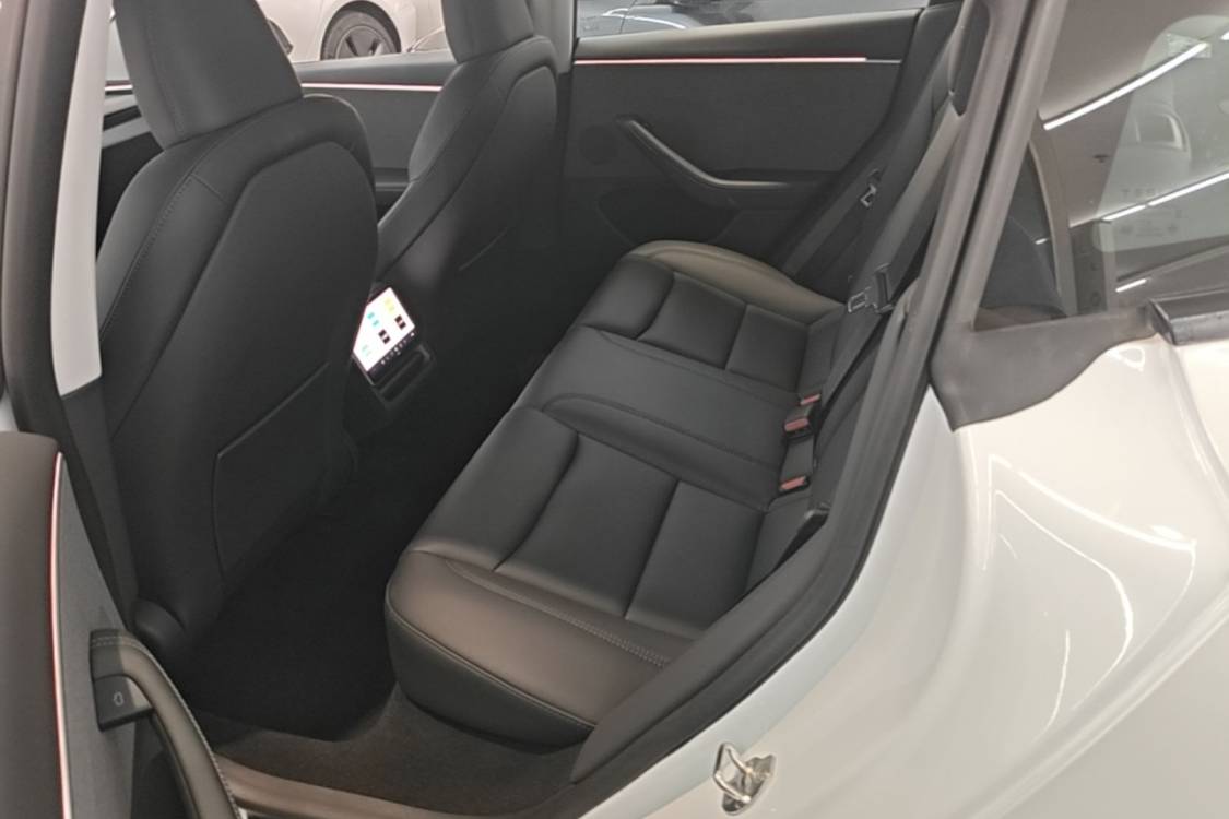 Tesla Model 3 2024 #9 Tesla Model 3 2024 imagen de coche #9