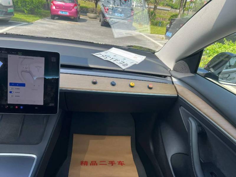 Tesla Model 3 2021 car image #9