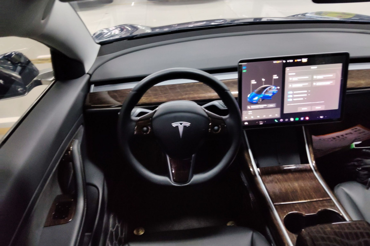Tesla Model 3 2020 car image #11