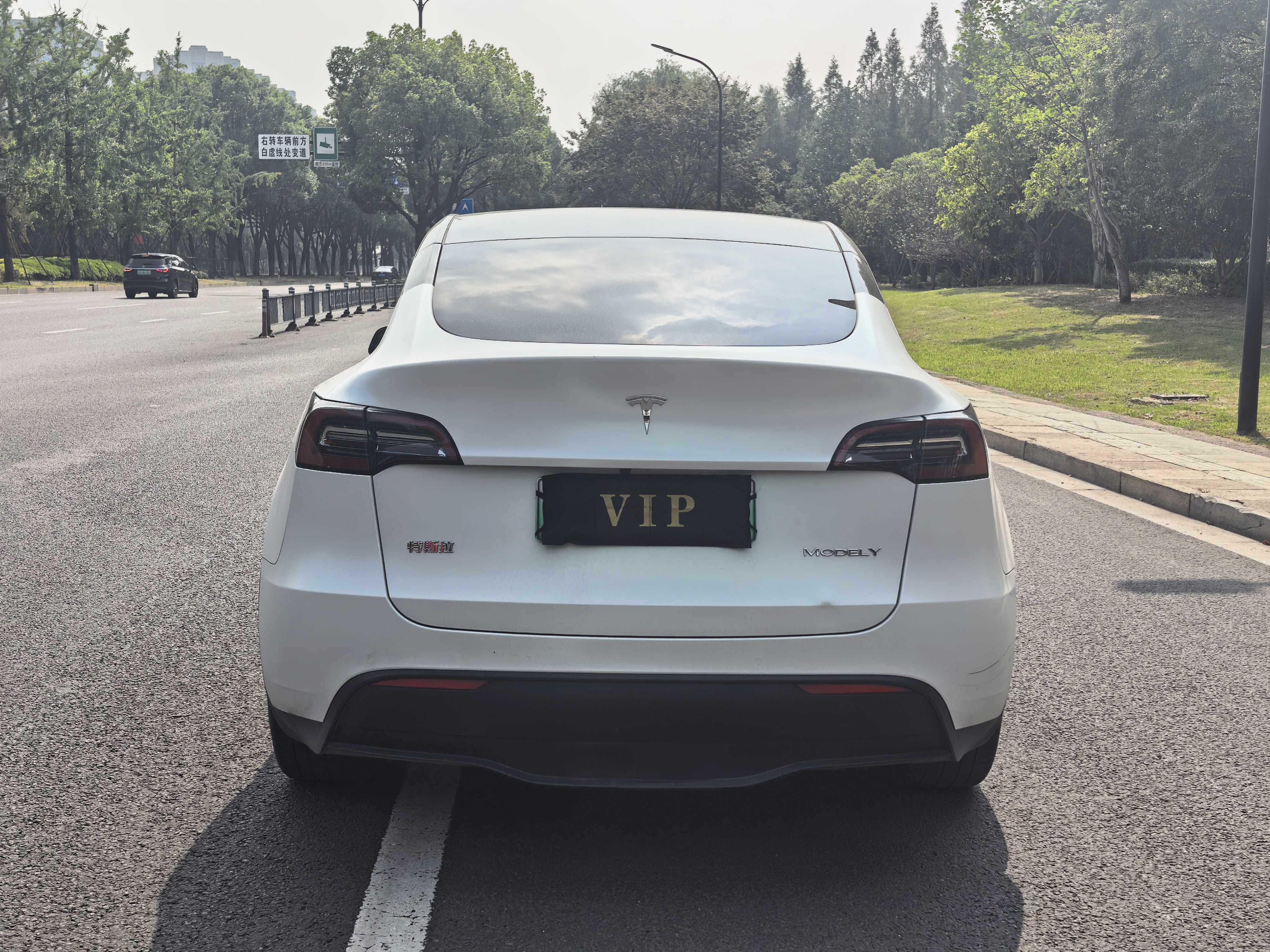 Tesla Model Y 2022 صورة سيارة #8