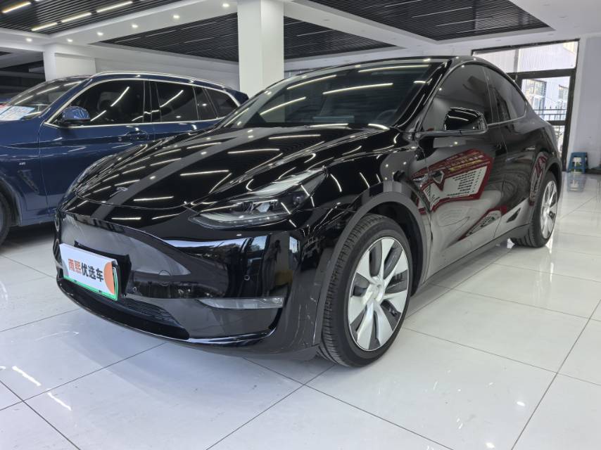 Tesla Model Y 2021 Tesla Model Y 2021 imagen de coche