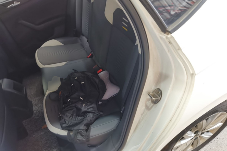 Volkswagen Polo 2019 car image #17