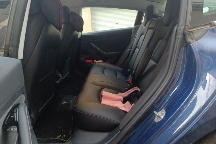 Tesla Model 3 2020 #19 Tesla Model 3 2020 car image #19