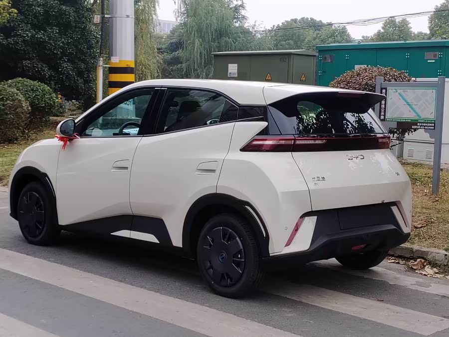 BYD Seagull 2024 immagine di auto #5