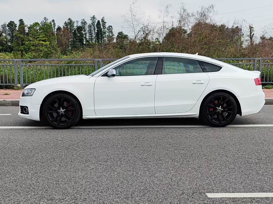 Audi S5 2011 #5 Audi S5 2011 car image #5