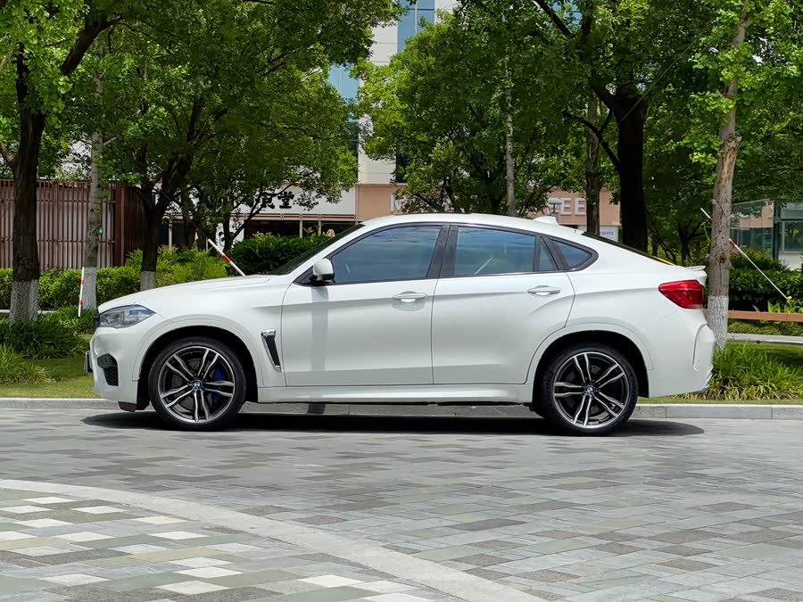 BMW X6 M 2017 car image #5