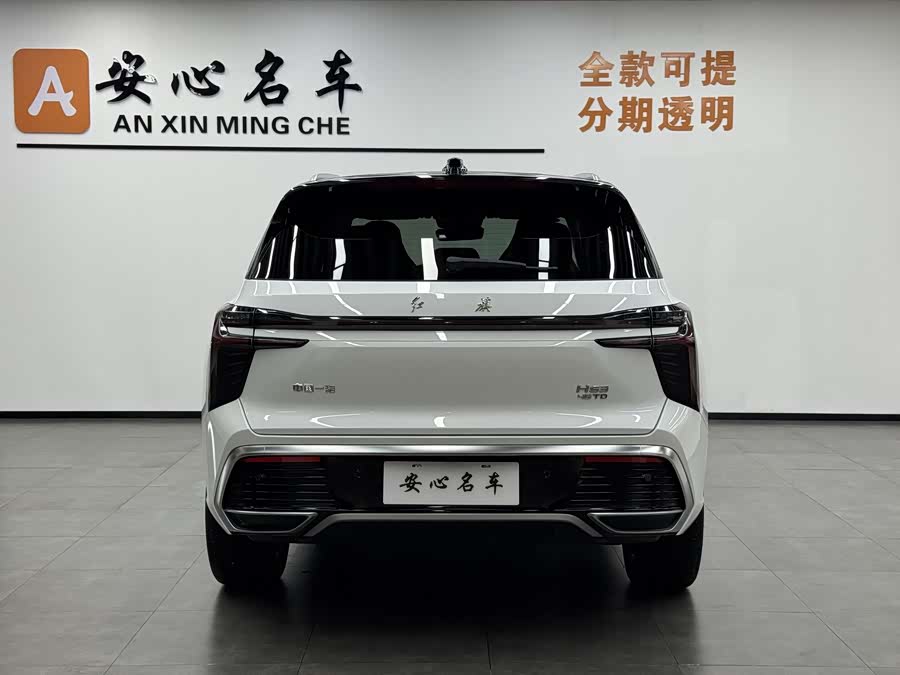 HongQi HS3 2023 imagen de coche #5