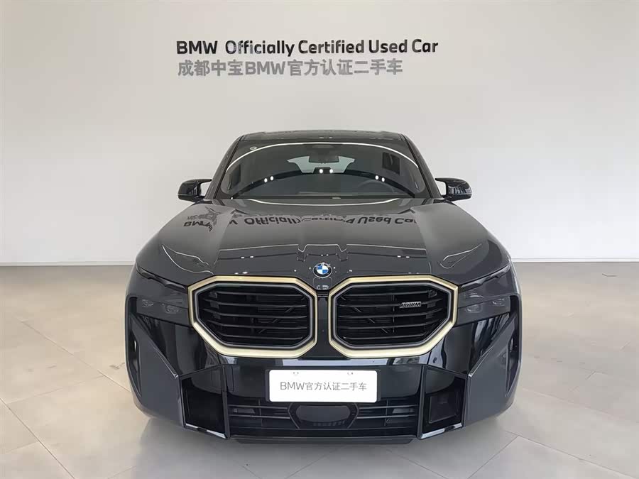 BMW XM 2024 #5 BMW XM 2024 изображение автомобиля #5