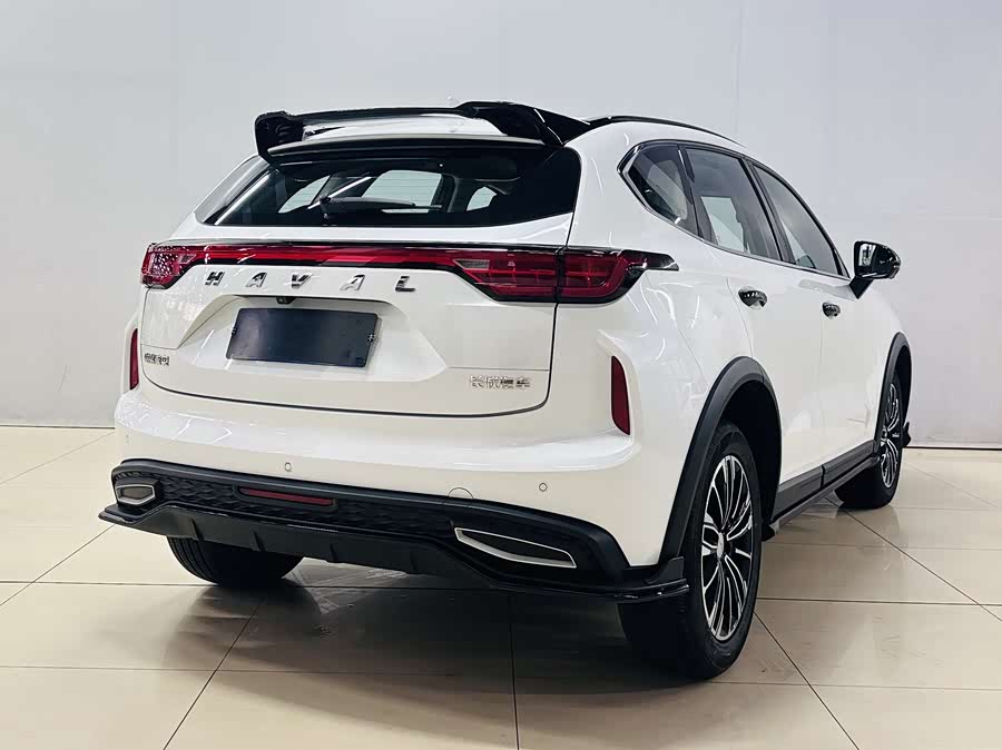 Haval Rabbit 2024 car image #5