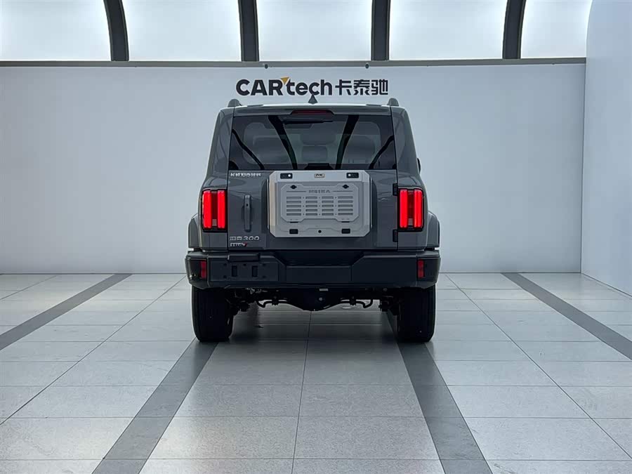 Tank 300 New Energy 2024 #5 Tank 300 New Energy 2024 car image #5