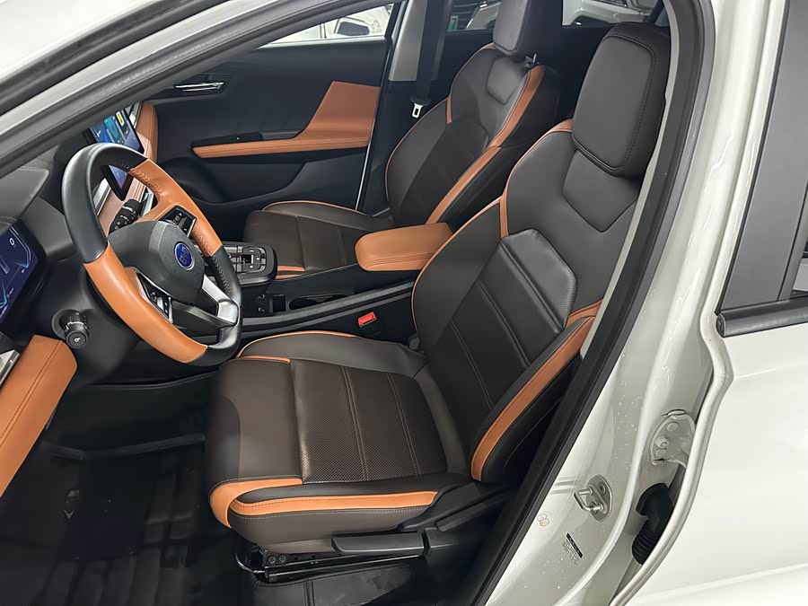 BYD e2 2022 #5 BYD e2 2022 immagine di auto #5