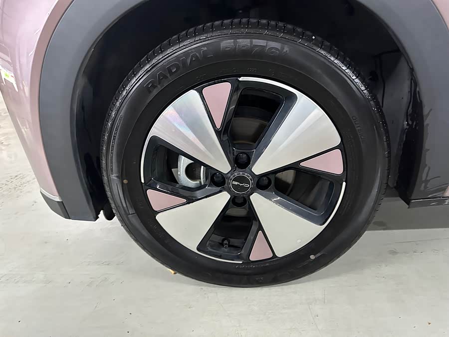 BYD Dolphin 2023 imagem de carro #5