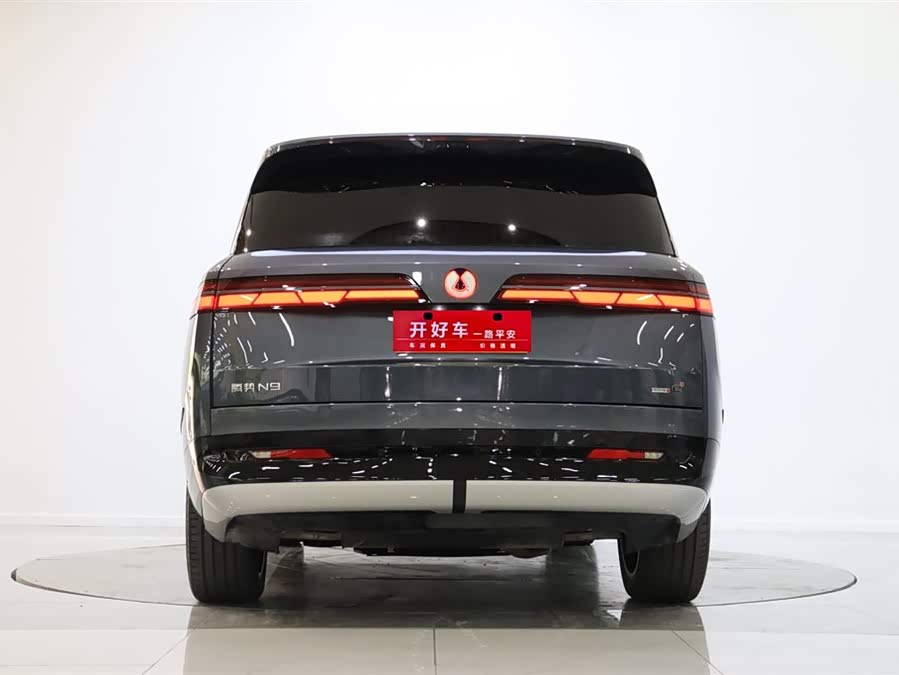 Denza N9 2025 car image #5