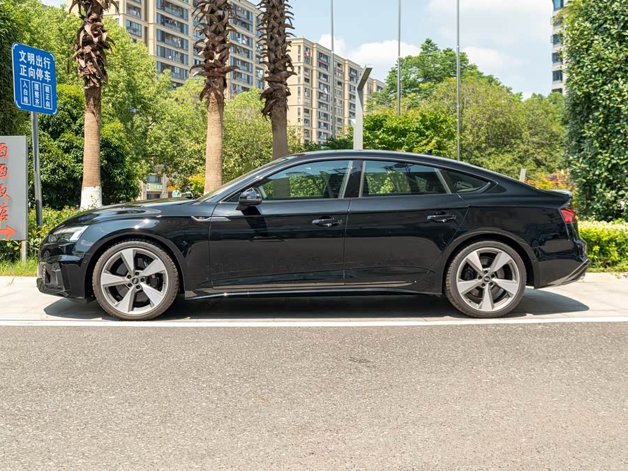 Audi S5 2025 #5 Audi S5 2025 car image #5