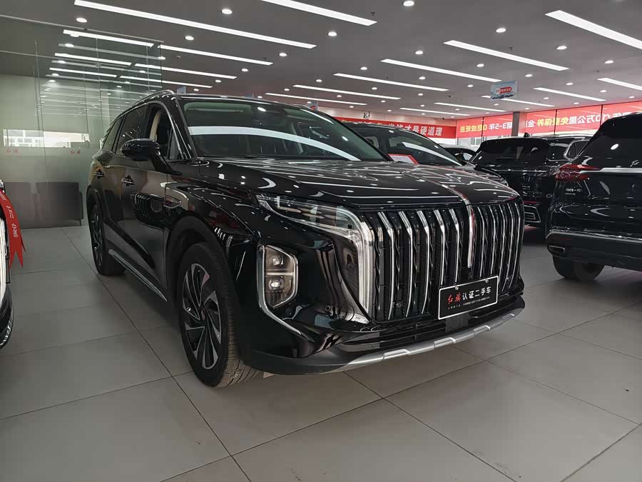 HongQi HS7 PHEV 2024 car image #5