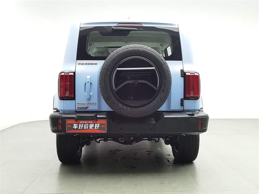 Tank 300 New Energy 2024 car image #5