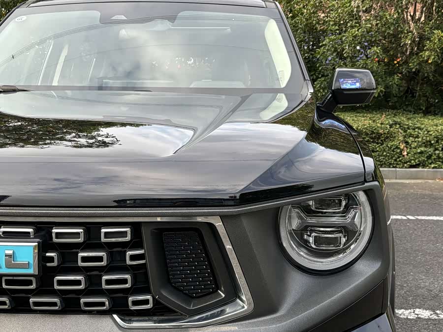 Haval X Dog 2 New Energy 2024 car image #5