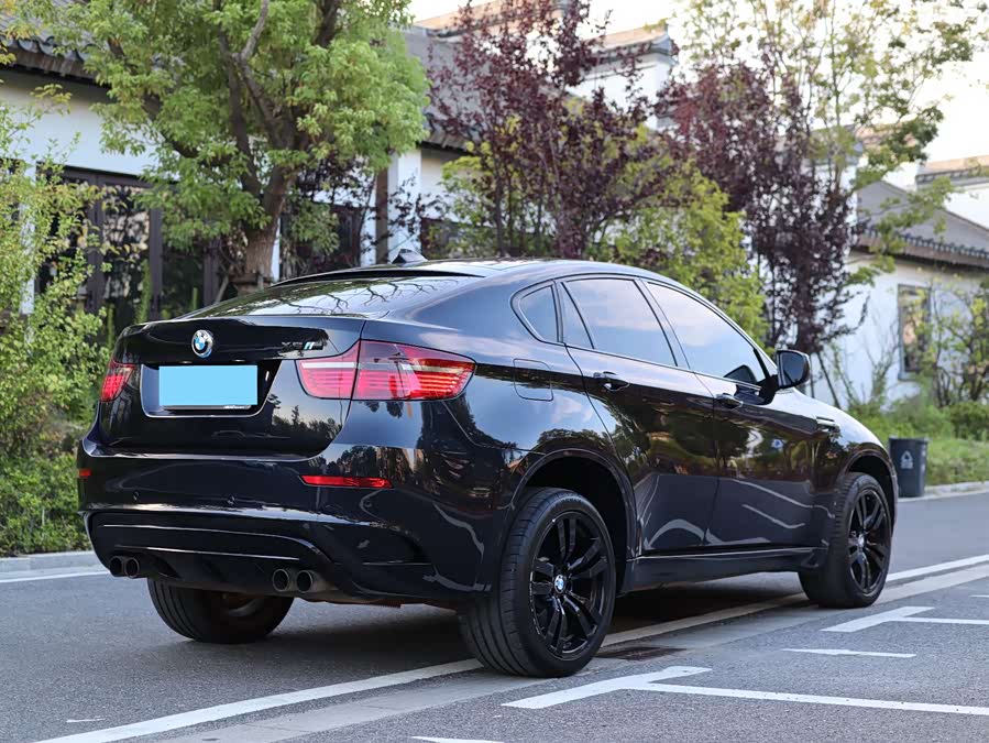 BMW X6 M 2012 car image #5