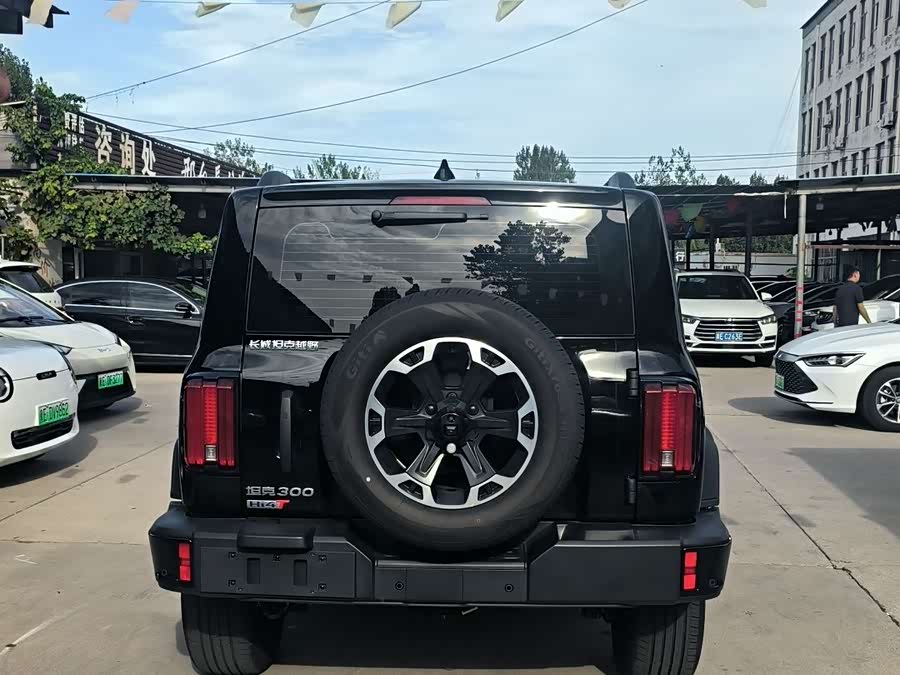 Tank 300 New Energy 2025 #5 Tank 300 New Energy 2025 immagine di auto #5